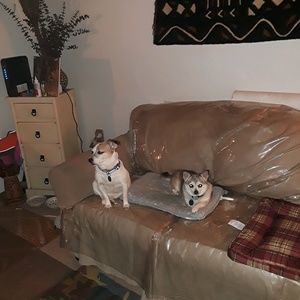 Meet your Posher, Diane